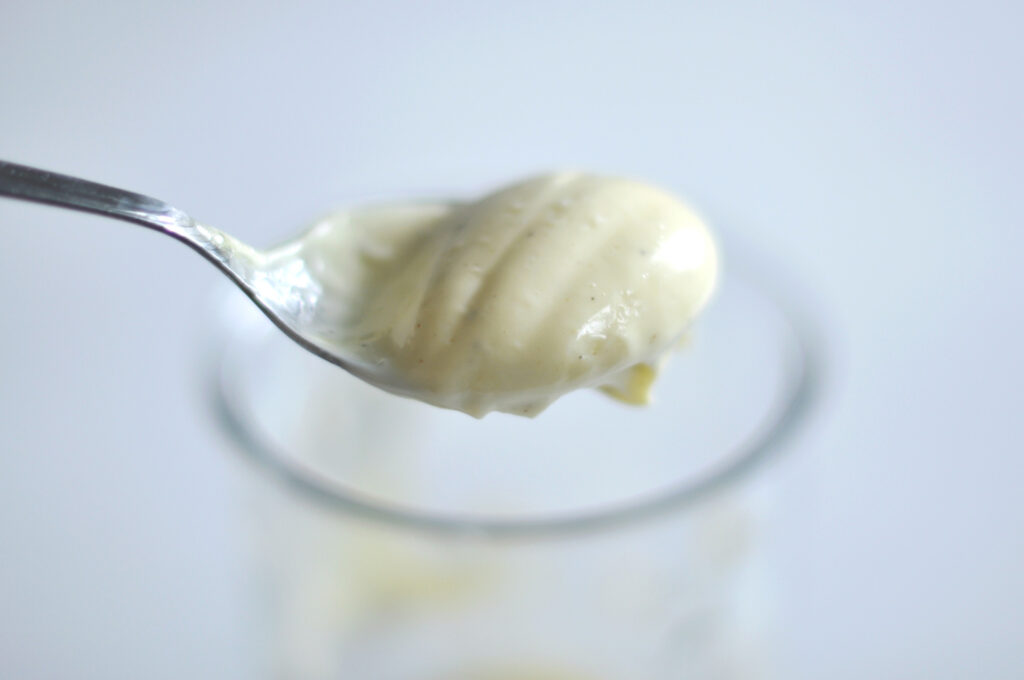 Selbstgemachte Mayonnaise