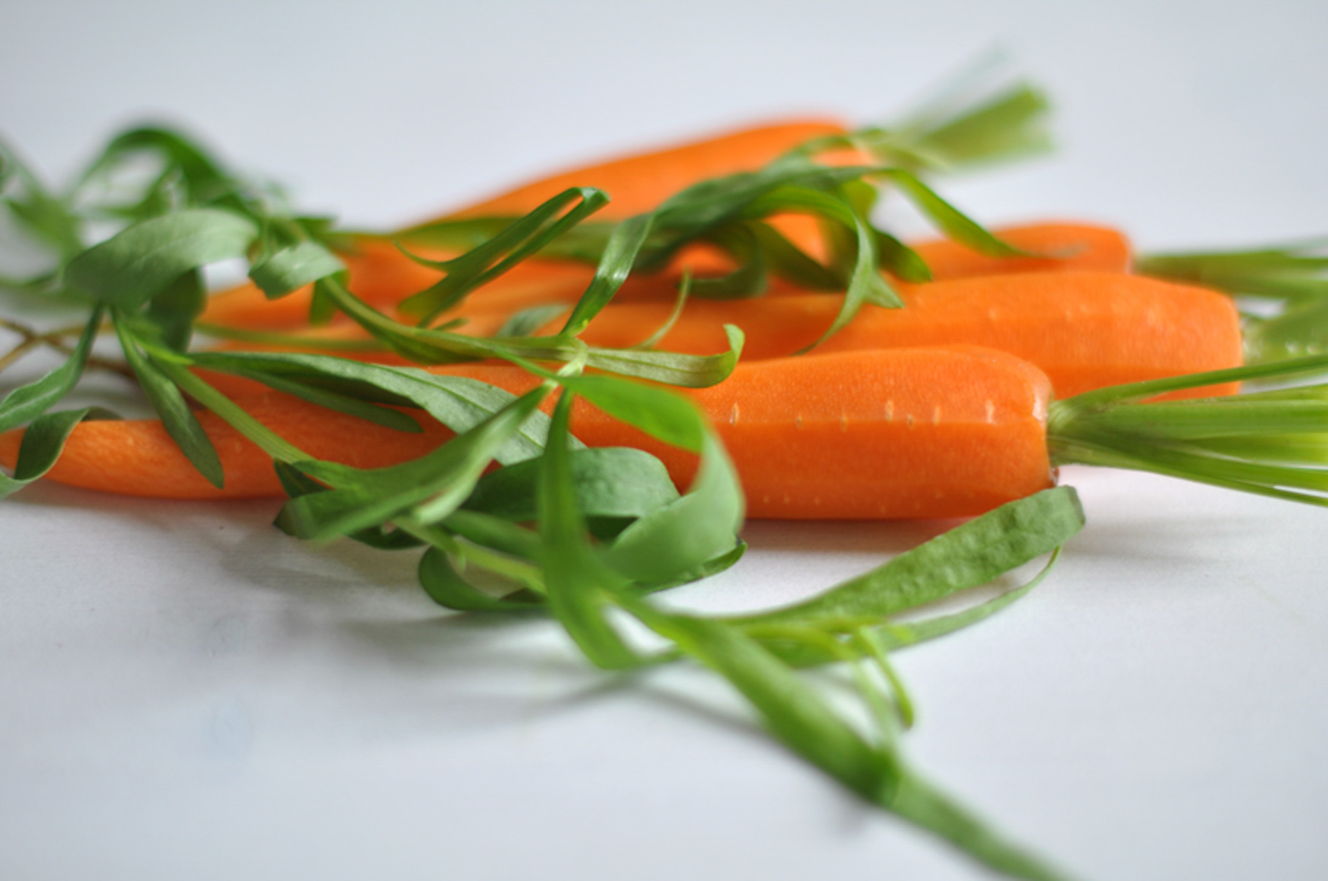 „Möhren mit Estragon und Honig