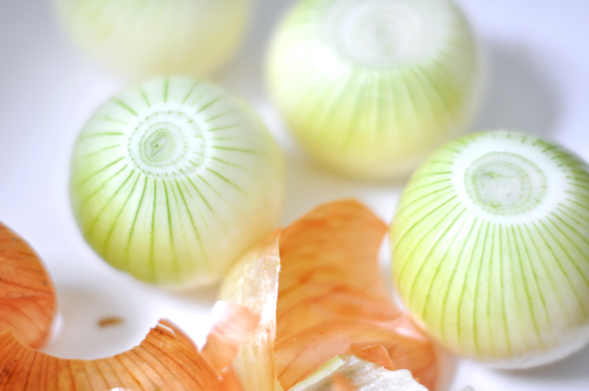 „Tomaten-Zwiebel-Suppe