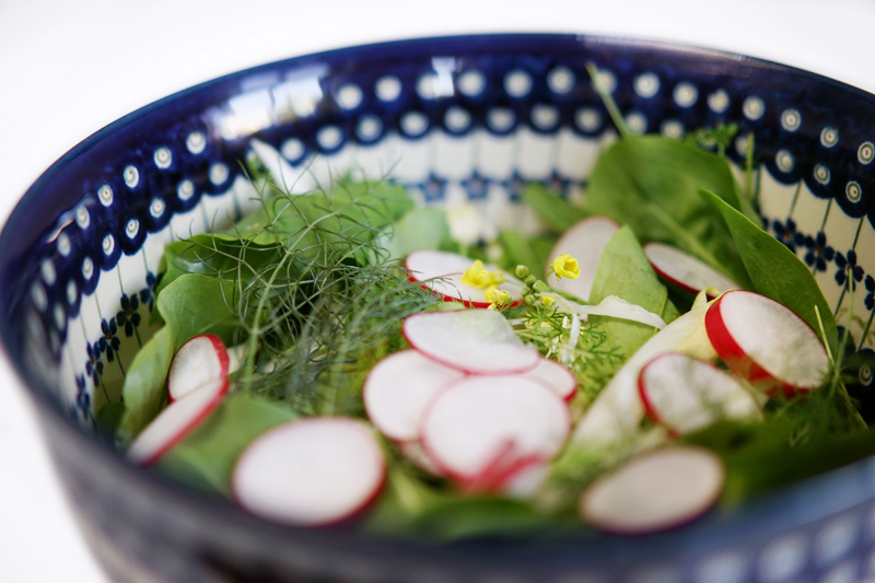 „Wildkräuter-Salat