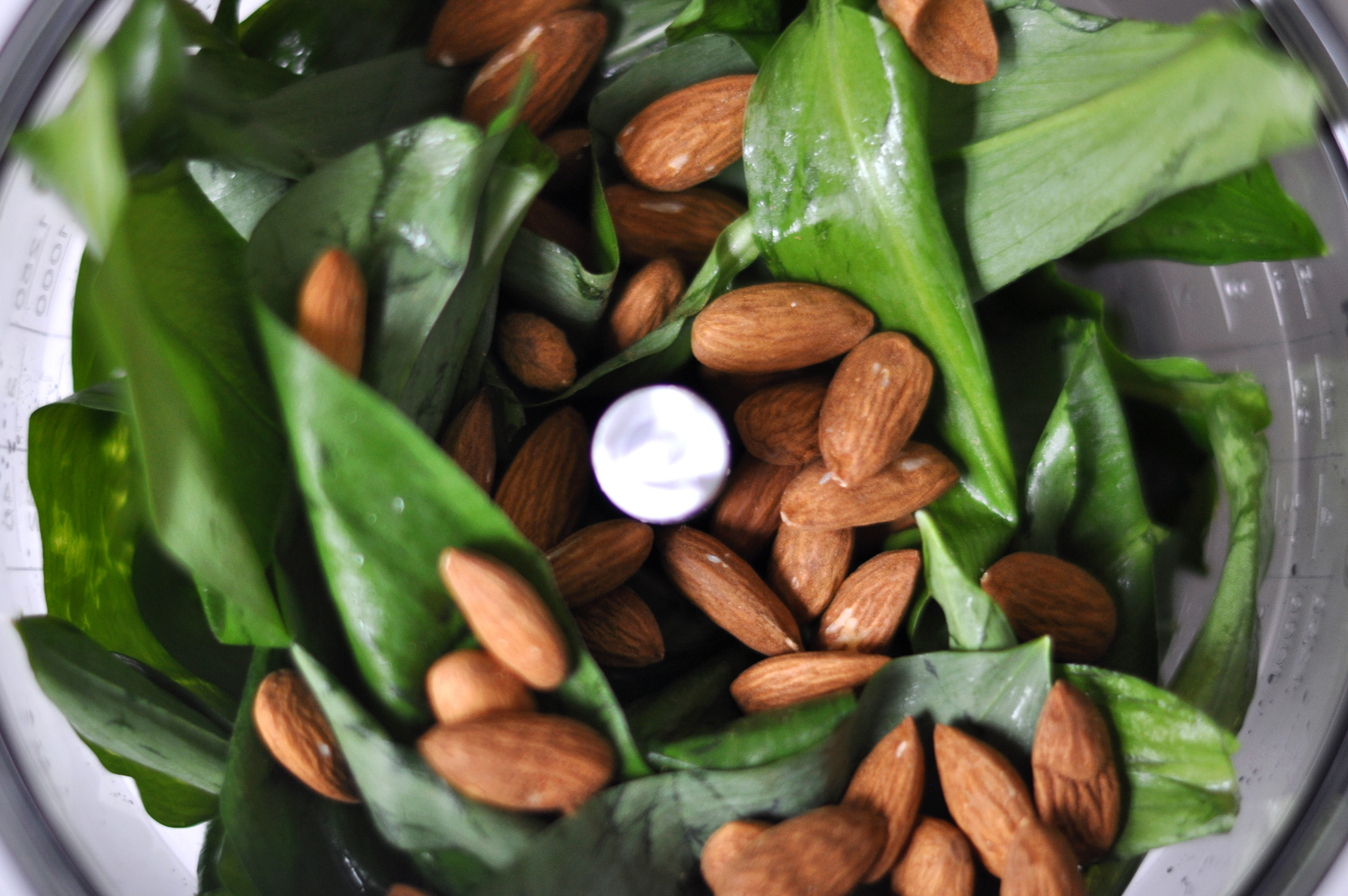 „Bärlauch-Mandel-Pesto