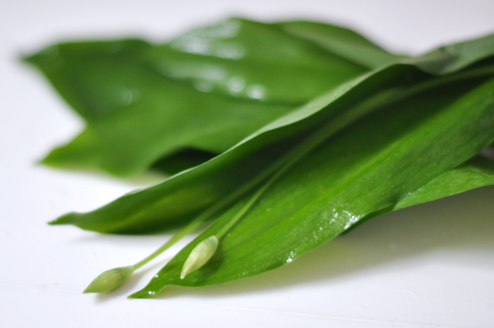 „Bärlauch-Risotto