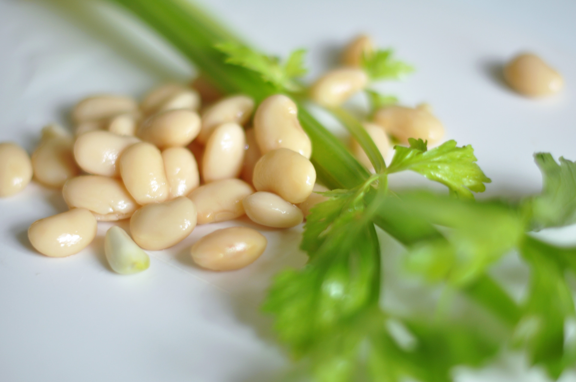 „Weiße Bohnen in Tomatensauce